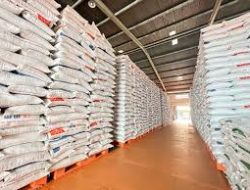 Perum Bulog Targetkan Serapan Beras Petani 1,4 Juta Ton di Puncak Panen Raya 2025
