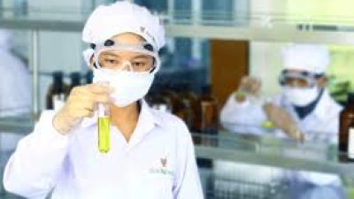 Sido Muncul (SIDO) Optimistis Targetkan Pertumbuhan Dobel Digit di 2025, Fokus pada Pasar Digital dan Ekspansi Internasional