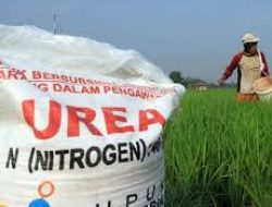 Pupuk Indonesia Tegaskan Komitmen Jaga Harga Pupuk Bersubsidi, Sanksi Tegas Bagi Pelanggar