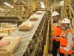 Penjualan Semen Indocement Meningkat 9% hingga November 2024, Tantangan Oversupply Masih Menghantui