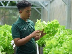 Sharp Hydro Heroes Sukses Cetak Generasi Petani Muda Berkelanjutan