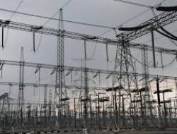 Indonesia Targetkan 79% Pembangkit Listrik dari Energi Terbarukan pada 2060