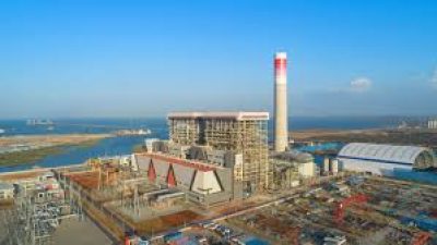 PLN Tingkatkan Penggunaan Biomassa, Capai 1,67 Juta MWh Energi Hijau di 2024