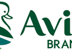 PT Avia Avian Tbk (AVIA) Catatkan Kinerja Positif di 2024