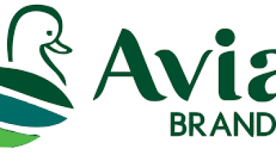 PT Avia Avian Tbk (AVIA) Catatkan Kinerja Positif di 2024