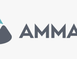 Amman Mineral (AMMN) Catatkan Kinerja Positif 2024, Didorong oleh Peningkatan Penjualan Emas dan Tembaga