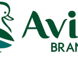 Avian Brands Optimis Manfaatkan Lonjakan Penjualan Cat Menjelang Lebaran 2025