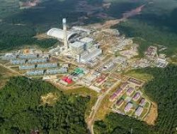PT Bukit Asam Tbk (PTBA) Dukung Kebijakan Pemerintah Tentang Harga Batu Bara Acuan (HBA)