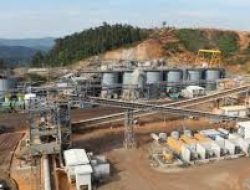 PT Bumi Resources Minerals (BRMS) Catatkan Kinerja Positif pada 2024 dengan Lonjakan Laba dan Pendapatan