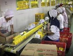 Sido Muncul (SIDO) Catatkan Laba Bersih Rp 1,17 Triliun di 2024, Naik 23,18% YoY
