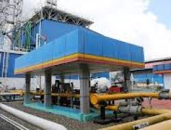 Rukun Raharja (RAJA) Catatkan Penurunan Laba Bersih di 2024 Meski Pendapatan Tumbuh Signifikan