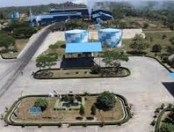 Sumber Tani Agung (STAA) Catatkan Laba Bersih Meningkat Signifikan di 2024