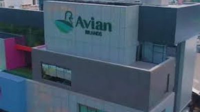 Avia Avian (AVIA) Bagikan Dividen Rp1,33 Triliun dan Buyback Saham Rp1 Triliun, Investor Sumringah!