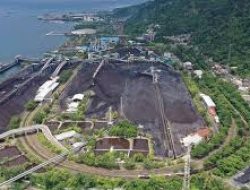 Pendapatan Naik, Laba Bersih Bukit Asam (PTBA) Justru Turun di 2024