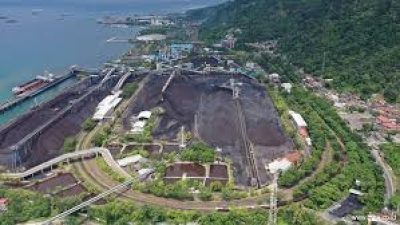 Pendapatan Naik, Laba Bersih Bukit Asam (PTBA) Justru Turun di 2024