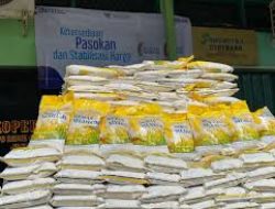 Stok Beras Pemerintah Ditargetkan Tembus 3,3 Juta Ton Awal Mei 2025