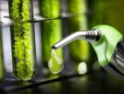 Harga Biodiesel dan Bioetanol Turun di Mei 2025, Ini Rinciannya