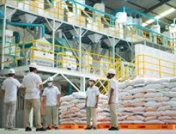 Kemenkeu Cairkan Rp 15,15 Triliun untuk Bulog, Jaga Harga Beras & Lindungi Petani