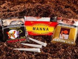 Indonesian Tobacco (ITIC) Targetkan Penjualan Naik 10% di 2025, Fokus Ekspansi Domestik dan Ekspor