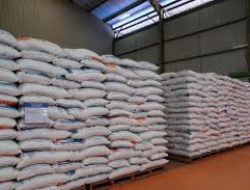 Stok Beras Bulog Tembus 3,7 Juta Ton, Mutu Dijamin Tetap Terjaga