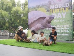 Memperingati World Turtle Day: Kenalan dengan Kura-Kura di Reptile Island