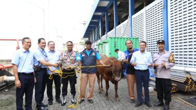 Bogasari Bagikan 66 Hewan Kurban di Idul Adha 1446 H