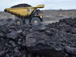 Harga Batu Bara dan Logam Periode Kedua Juni 2025: Nikel dan Kalori Tinggi Turun, Logam Mulia Menguat