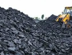 Harga Batubara Tertekan, Impor China Turun Tajam dan Uji Ketahanan Industri Tambang Indonesia