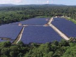 Matahari di Atas Lahan Tambang: Potensi 59 GW Energi Surya Indonesia Masih Terabaikan