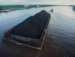 Harga Batubara Acuan Juni 2025 Turun Tajam, Ini Rinciannya