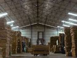 Integra Indocabinet (WOOD) Incar Pertumbuhan Penjualan 25% di 2025, Andalkan Ekspor dan Diversifikasi Produk