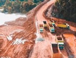 PAM Mineral (NICL) Bagikan Dividen Interim Rp159,53 Miliar, Payout Ratio Tembus 82,6%