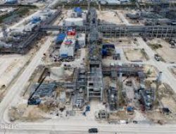 Produksi Gas Naik 27%, PEPC Bukukan Laba US$ 817 Juta di 2024
