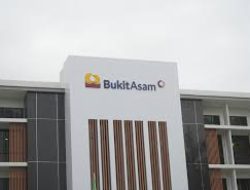 PTBA Bagi Dividen Jumbo Rp 3,8 Triliun! Cek Jadwal dan Nilai per Saham