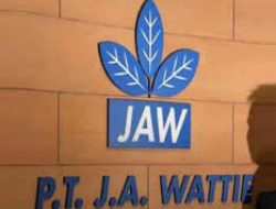 Prospek Saham PT Jaya Agra Wattie (JAWA) Cerah Didukung Kenaikan Harga CPO