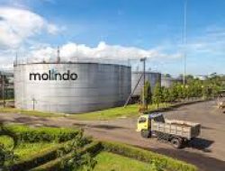 MOLI Bidik Pendapatan Rp 1,44 Triliun di 2025, Genjot Ekspor dan Produk Bioetanol