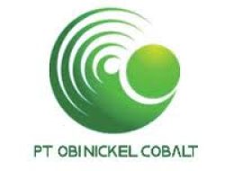 Antam dan Mitra Hong Kong Dirikan PT Nickel Cobalt Halmahera untuk Proyek Baterai EV