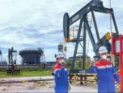 Gulamo dan Kelok Jadi Andalan Baru Eksplorasi Migas Non-Konvensional PHR