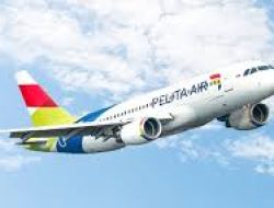 Pelita Air Service Catat Lonjakan Pendapatan 81% di 2024, Jadi Maskapai Paling Tepat Waktu di Indonesia