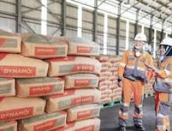 Penjualan Semen Anjlok 21,6% di Maret 2025, Efisiensi Belanja Pemerintah Jadi Biang Keladi?