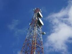 Tower Bersama (TBIG) Bagikan Dividen Final Rp 529,3 Miliar dari Laba 2024
