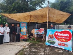 Kokola Group Salurkan Hewan Qurban Bersama Mamah Dedeh di Ciamis  dalam Rangka Idul Adha  1446 H