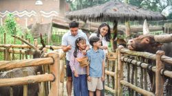 School Holiday Package: Saatnya Liburan Edukatif dan Seru di Puncak