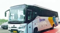 DAMRI Luncurkan Fitur “Pink Zone” demi Kenyamanan Penumpang Perempuan