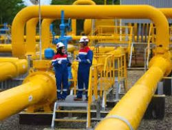 PGAS Dihantam Margin Tipis, Tapi Siapkan Strategi Baru Demi Bangkit di 2025