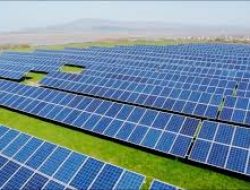 SUN Energy Siapkan Generasi Muda Siap Kerja di Industri Energi Terbarukan Lewat Pelatihan Keselamatan Kerja