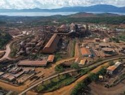 Harga Nikel Tertekan, Tapi Analis Masih Optimistis terhadap Prospek Vale Indonesia (INCO)