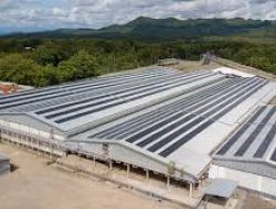 Pendapatan Naik 84%, Rugi WMPP Menyusut di Semester I-2025 Meski Masih Dalam Proses PKPU